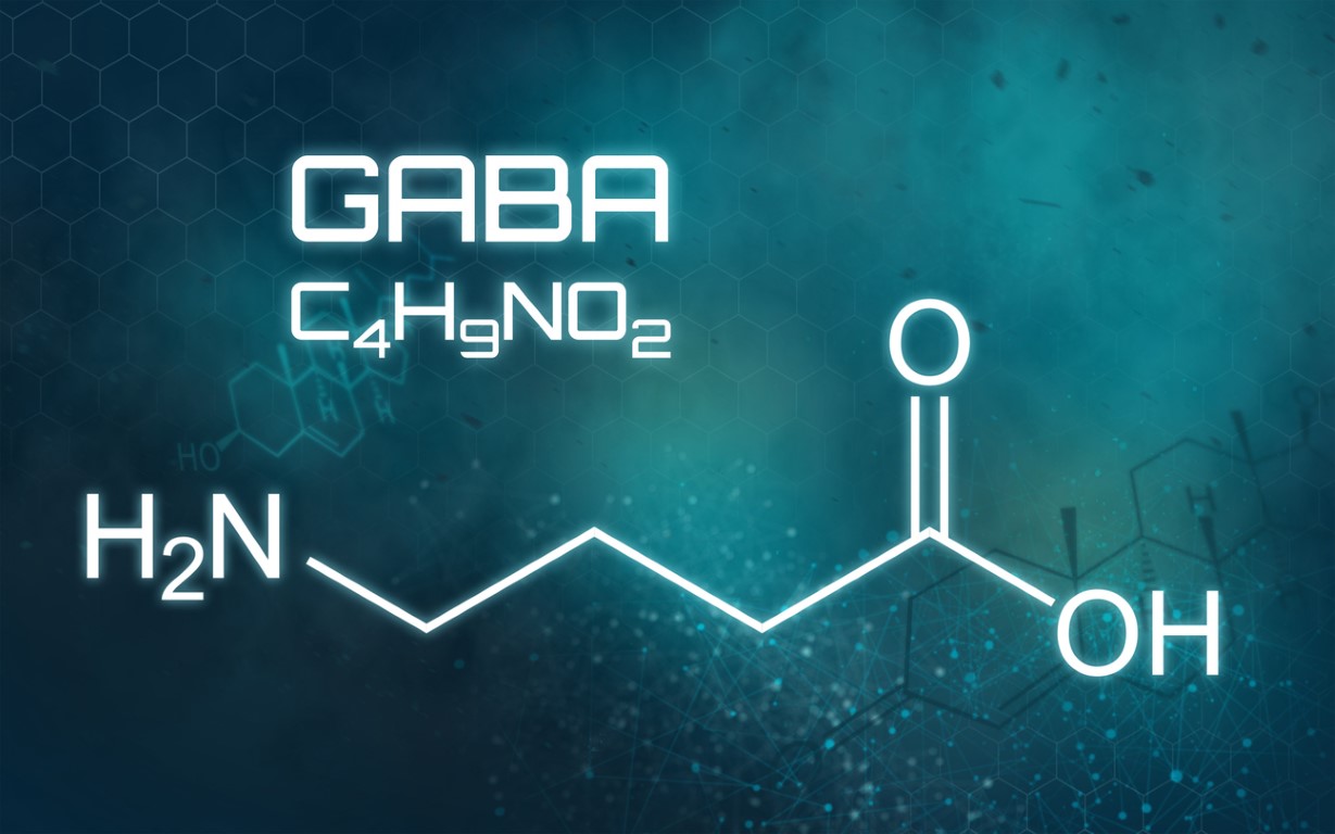 GABA and Alcohol: What You Need to Know About Withdrawal