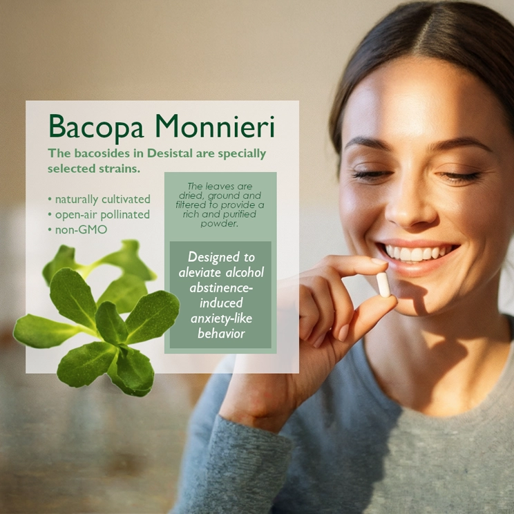 Bacopa Monnieri