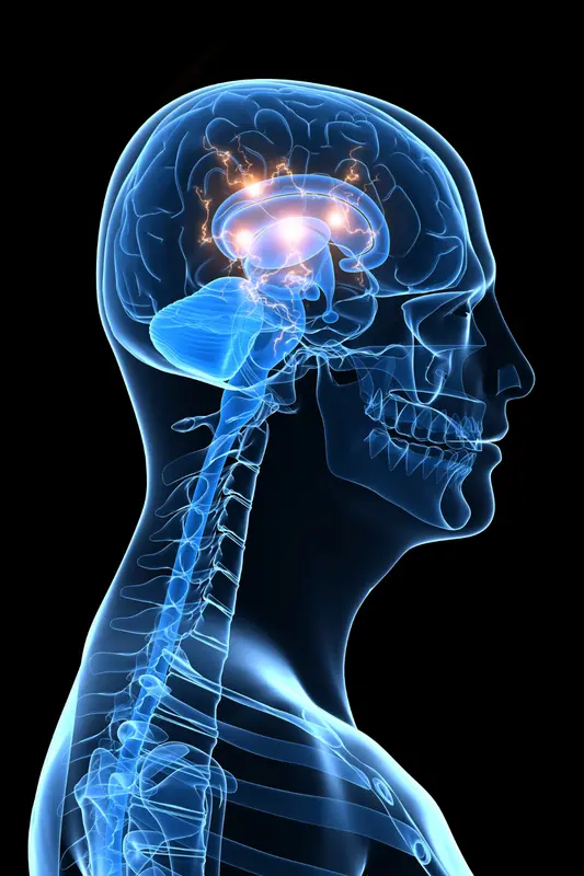 The Complex Nature of Alcohol Pharmacology: Effects on the Brain and Body